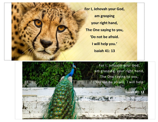 Isaiah 41:13 Cheetah- Handmade Gifts