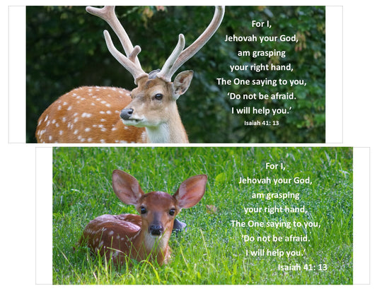 Isaiah 41:13 Deer- Handmade Gifts