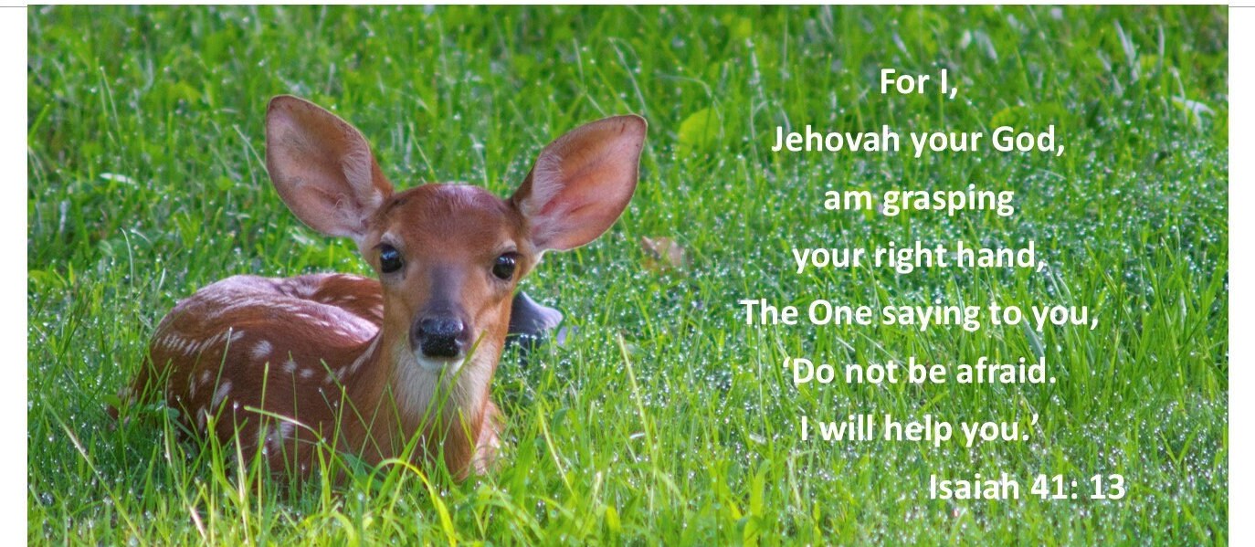 Isaiah 41:13 Deer- Handmade Gifts