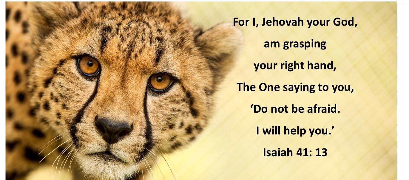 Isaiah 41:13 Cheetah- Handmade Gifts