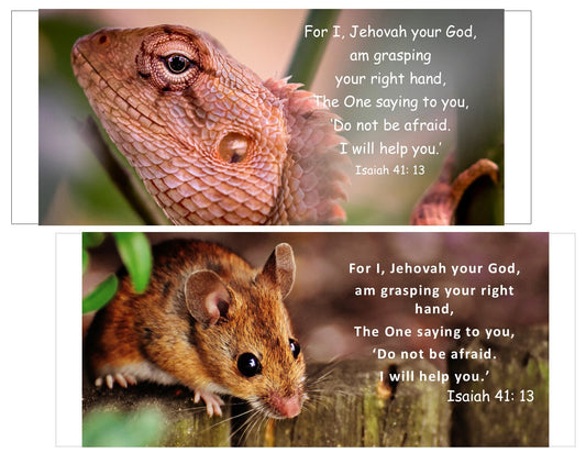 Isaiah 41:13 Lizard- Handmade Gifts